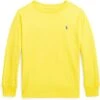 Polo Ralph Lauren Kids Cotton Jersey Long Sleeve Tee (Toddler)
