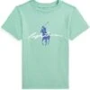 Polo Ralph Lauren Kids Big Pony Logo Cotton Jersey Tee (Toddler)