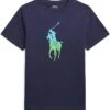 Polo Ralph Lauren Kids Ombré Big Pony Cotton Jersey Tee (Big Kids)