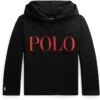 Polo Ralph Lauren Kids Logo Cotton Jersey Hooded Tee (Toddler)