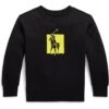 Polo Ralph Lauren Kids Big Pony Logo Double-Knit Sweatshirt (Toddler)