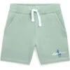 Polo Ralph Lauren Kids Big Pony Logo Fleece Shorts (Toddler)