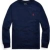 Polo Ralph Lauren Kids Cotton Jersey Long Sleeve Tee (Big Kids)