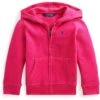 Polo Ralph Lauren Kids Long Sleeve Fleece Hoodie (Toddler)