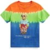 Polo Ralph Lauren Kids Polo Bear Tie-Dye Cotton Jersey Tee (Little Kids)