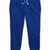 Polo Ralph Lauren Kids Cotton-Blend-Fleece Joggers (Little Kids)