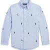 Polo Ralph Lauren Kids Polo Pony Cotton Oxford Shirt (Toddler)