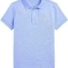 Polo Ralph Lauren Kids Cotton Mesh Polo Shirt (Toddler)
