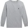 Polo Ralph Lauren Kids Checked Big Pony Cotton Long Sleeve Tee (Little Kids)